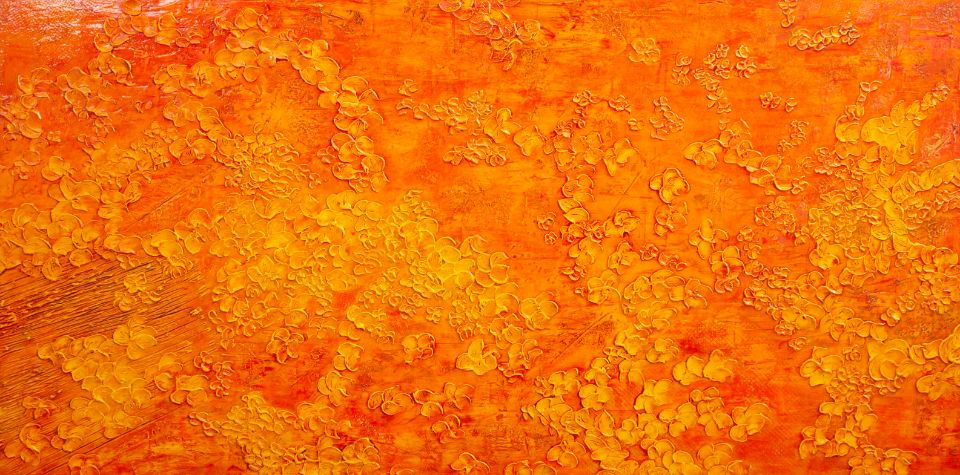 Il giardino della gioia