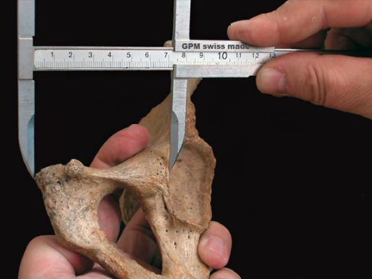 laborchimica_gpm_antropometro